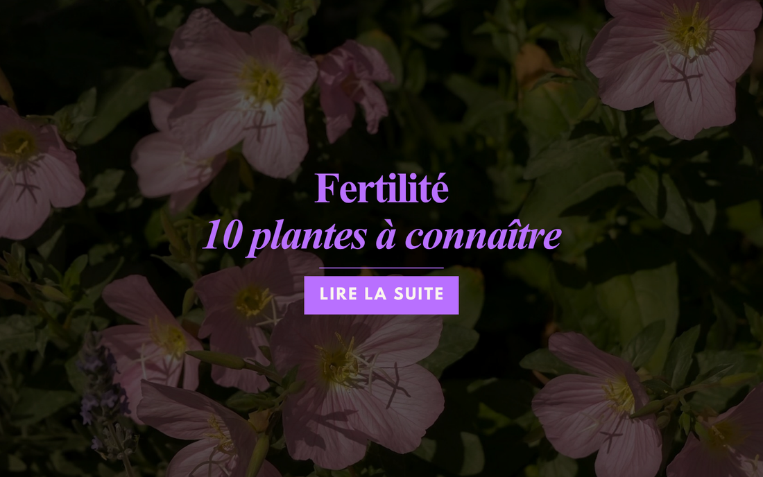 Fertilité : 10 plantes à connaître