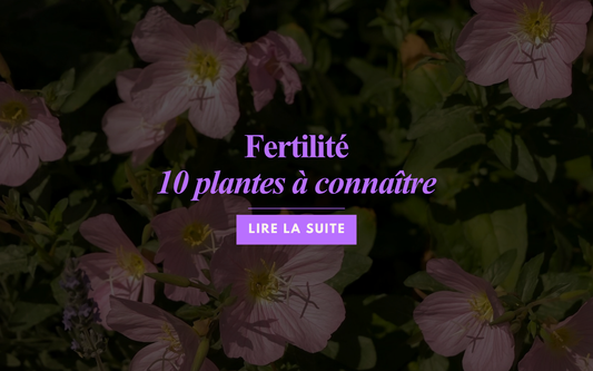 Fertilité : 10 plantes à connaître