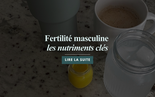 Fertilité masculine : les nutriments clés