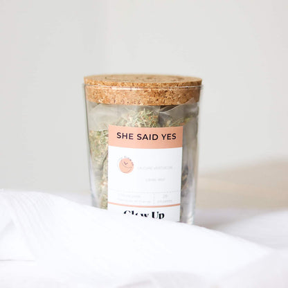 She Said Yes｜Bocal